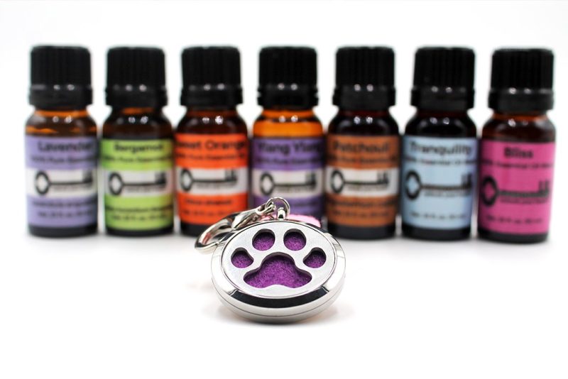 Stainless Steel dog pendant essential oil diffuser - Natural Choice Company