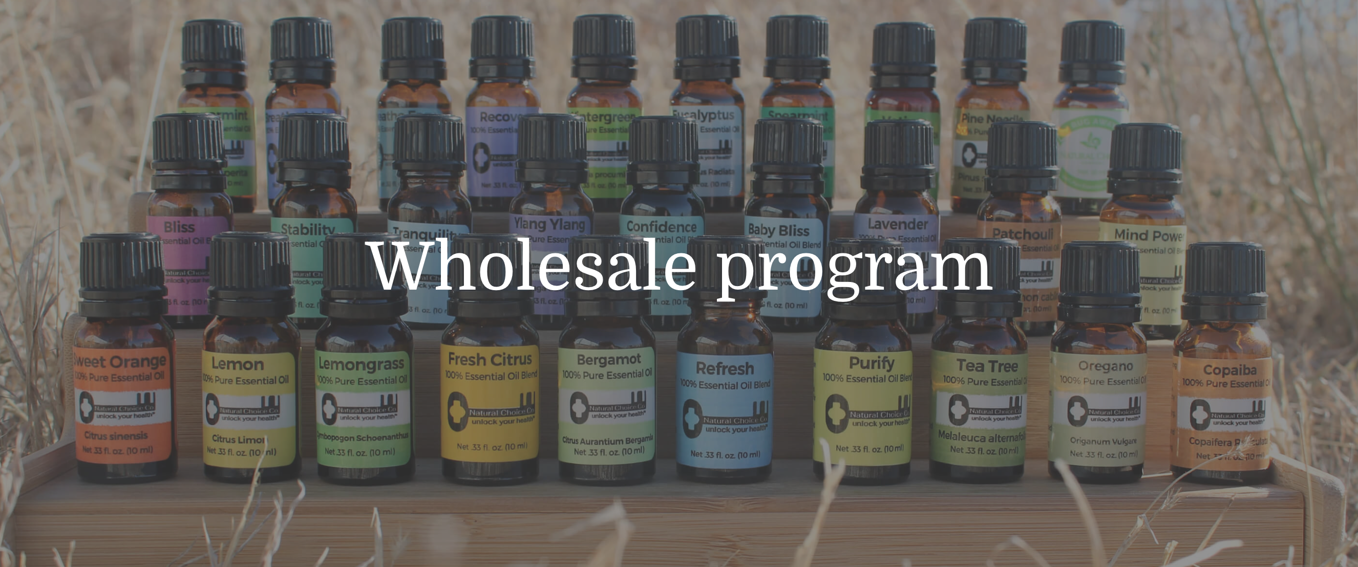 wholesale-program